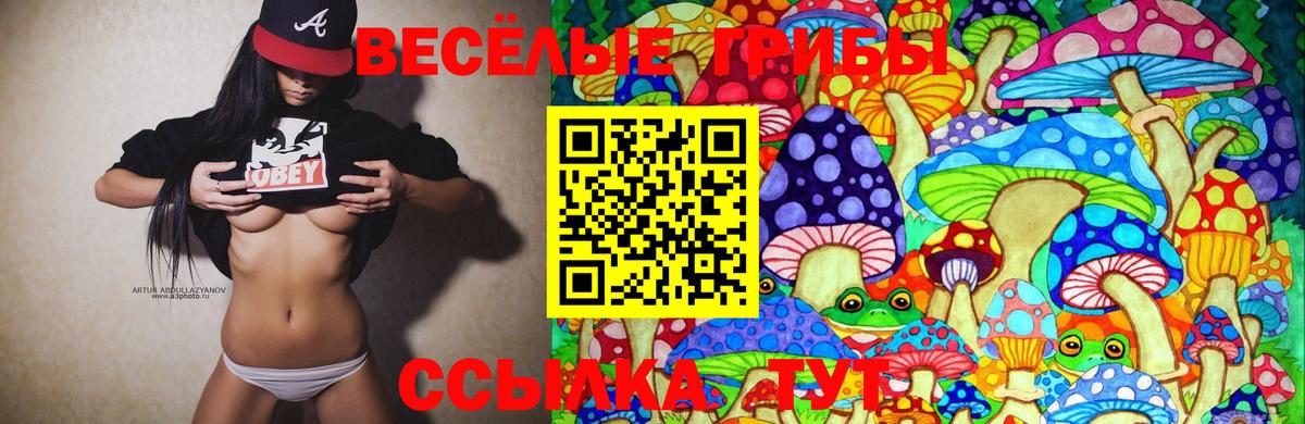Галлюциногенные грибы Cubensis Элиста