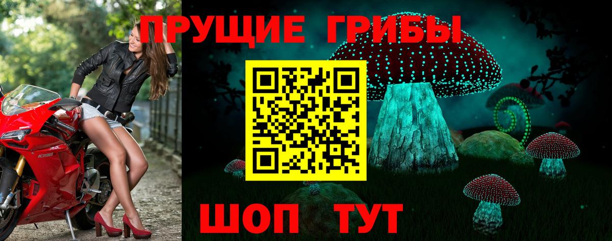 Галлюциногенные грибы Psilocybine cubensis  Псилоцибиновые грибы Psilocybine cubensis  Вход с VPN  Элиста 